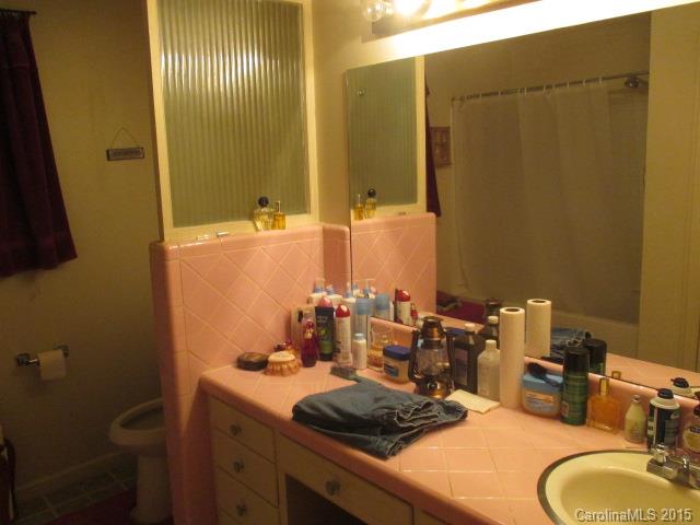 803 Low Bridge Road Iron Station, NC 28080 - Photo 17 of 20 Gallery Image 17