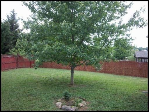 2827 Best Road Maryville, TN 37803 - Photo 32 of 34 Additional Photo
