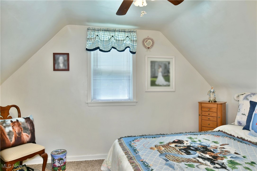 9501 New Buffalo Road Canfield, OH 44406 - Photo 27 of 39
