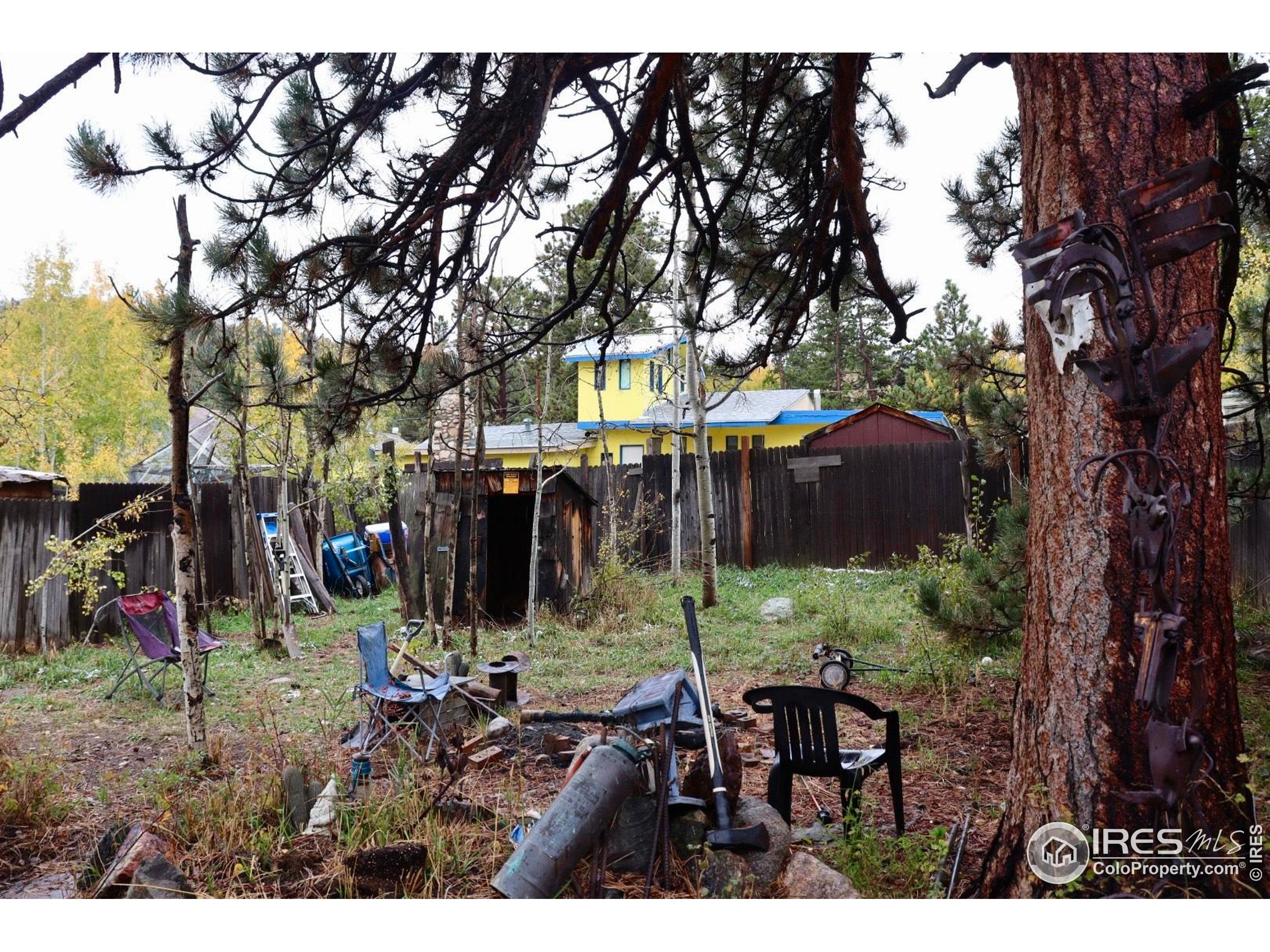 470 West Spring Street Nederland, CO 80466 - Photo 14 of 19 a view of outdoor space with lots of trees
