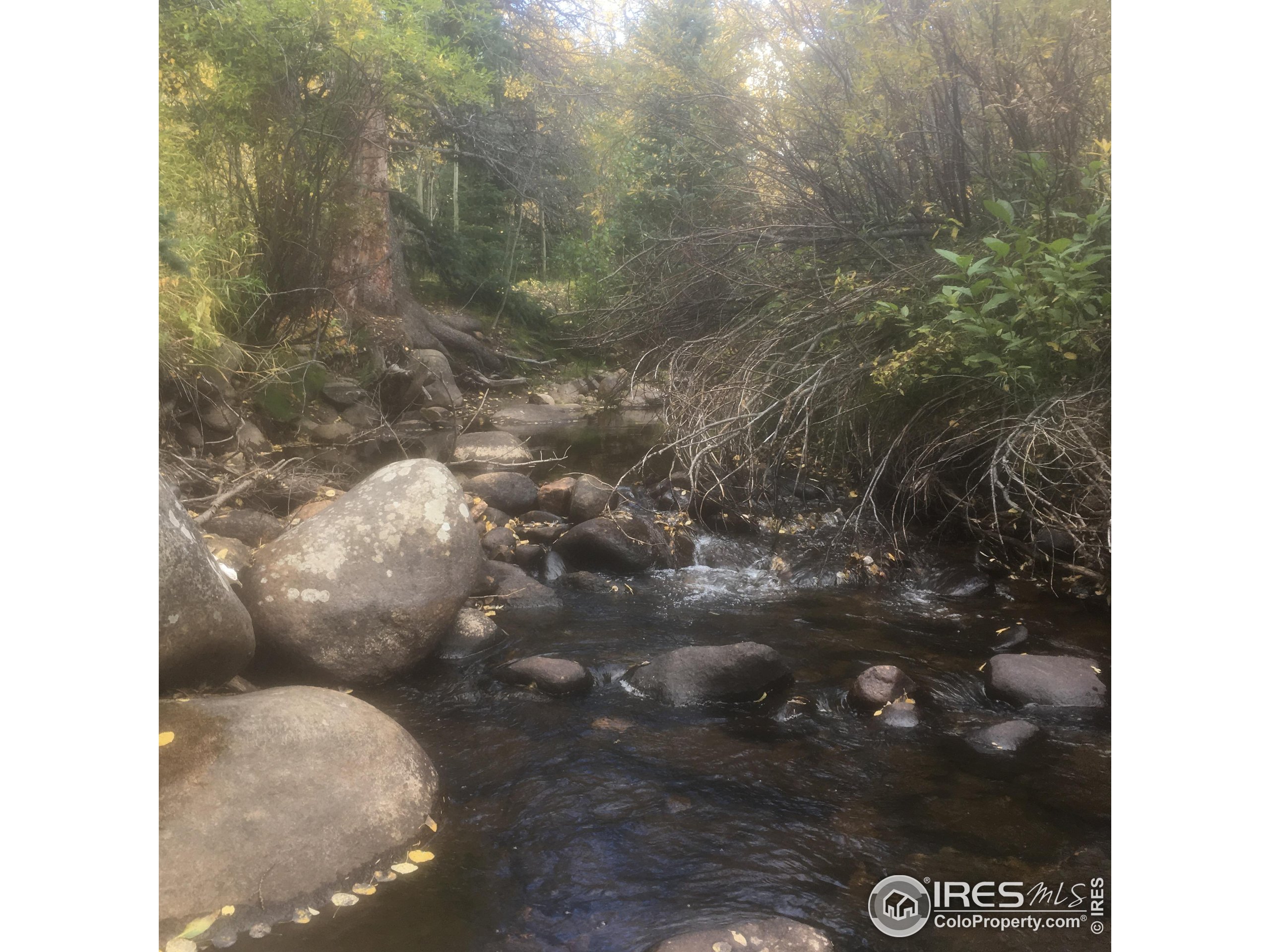 470 West Spring Street Nederland, CO 80466 - Photo 19 of 19