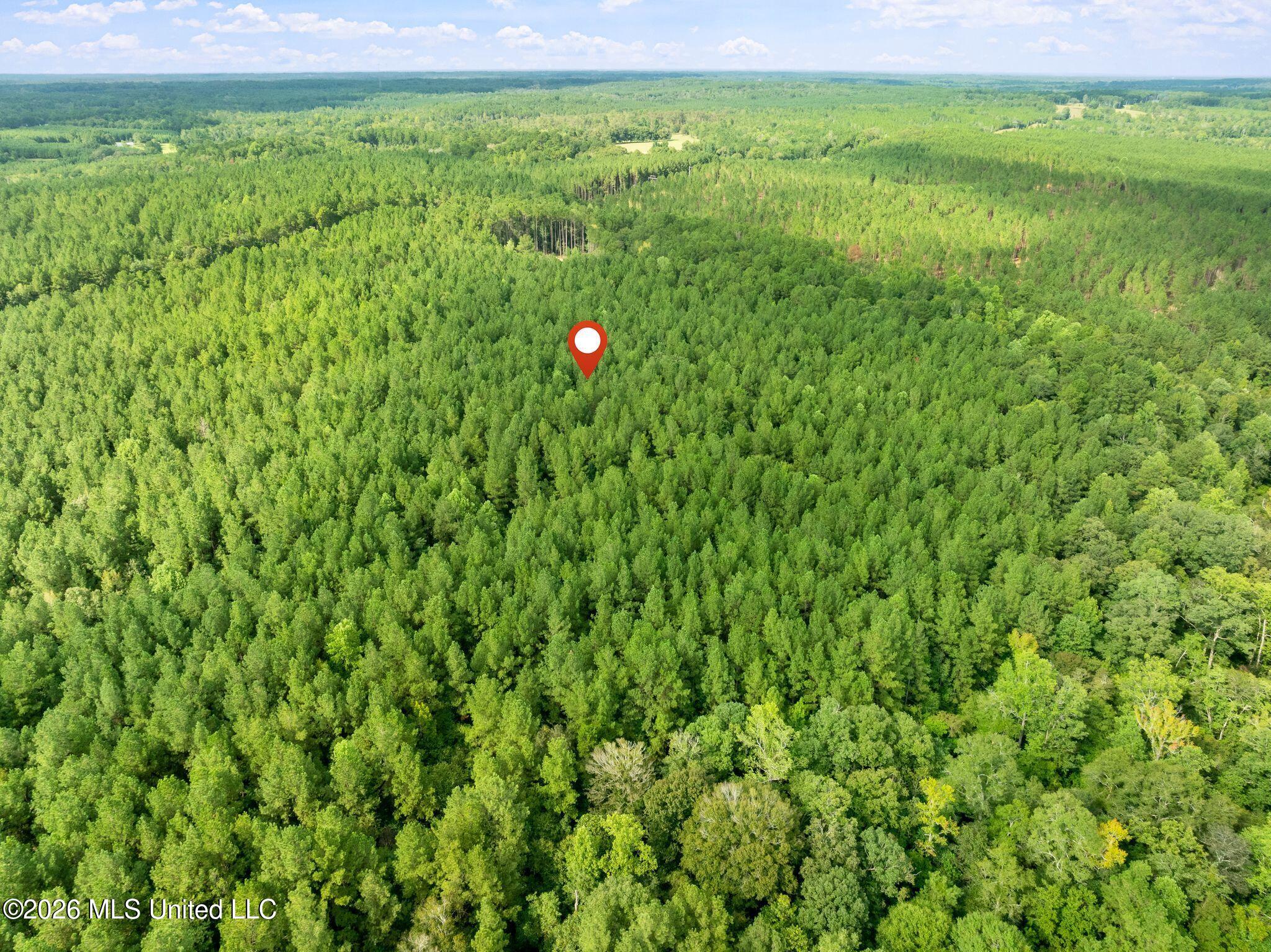 15-acres Porter Hudson Road Sumrall, MS 39482 - Photo 12 of 16 0_Porter_Hudson_Rd-12
