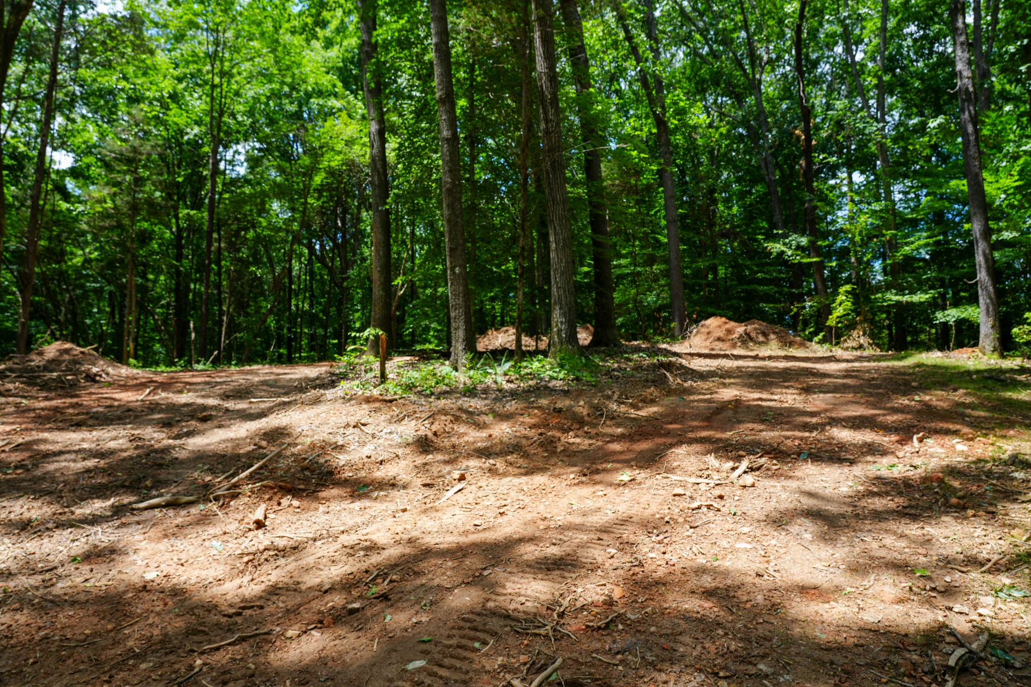 1 Budds Creek Road Palmyra, TN 37142 - Photo 52 of 76