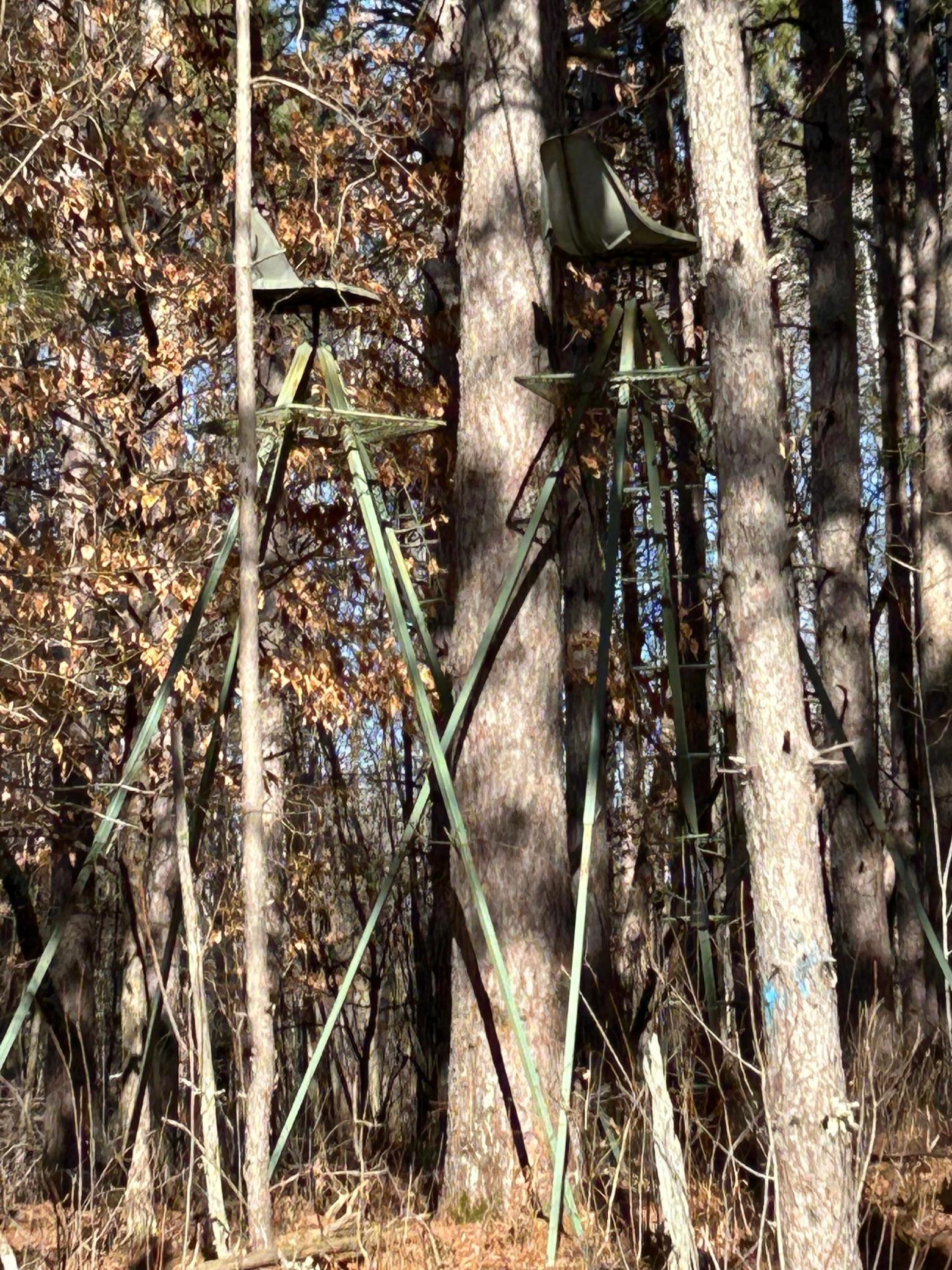 5060 County Rd B Frederic, WI 54837 - Photo 12 of 44