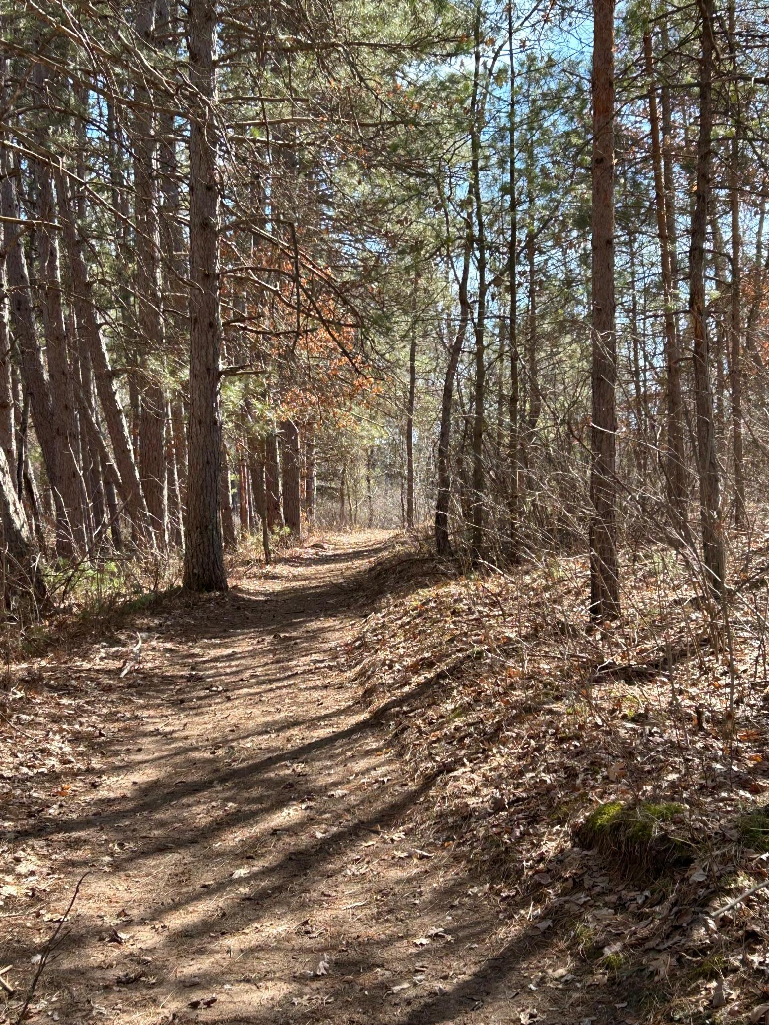 5060 County Rd B Frederic, WI 54837 - Photo 13 of 44