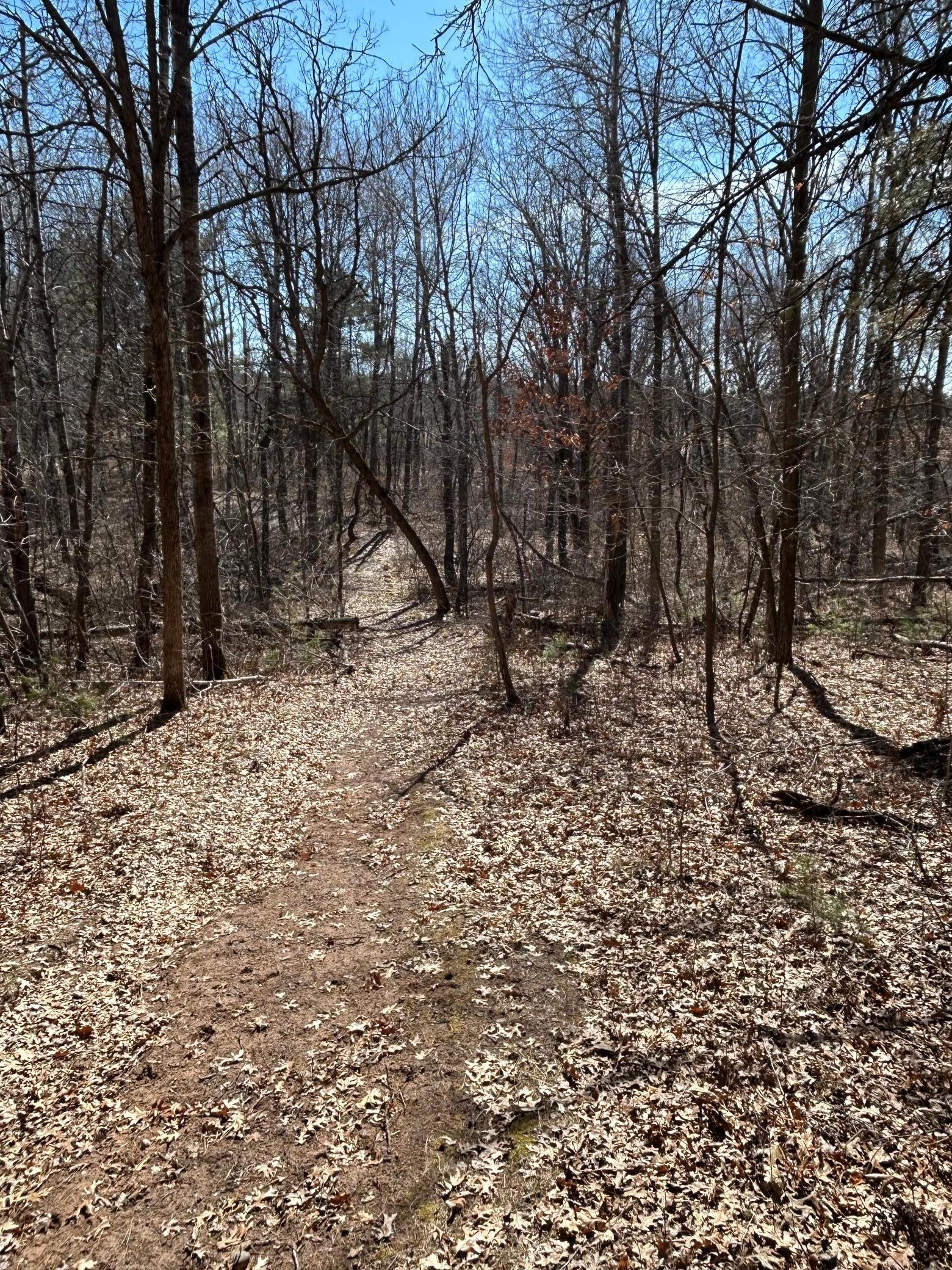 5060 County Rd B Frederic, WI 54837 - Photo 31 of 44