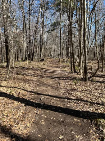 $330,000 | 5060 County Rd B, Frederic, WI 54837