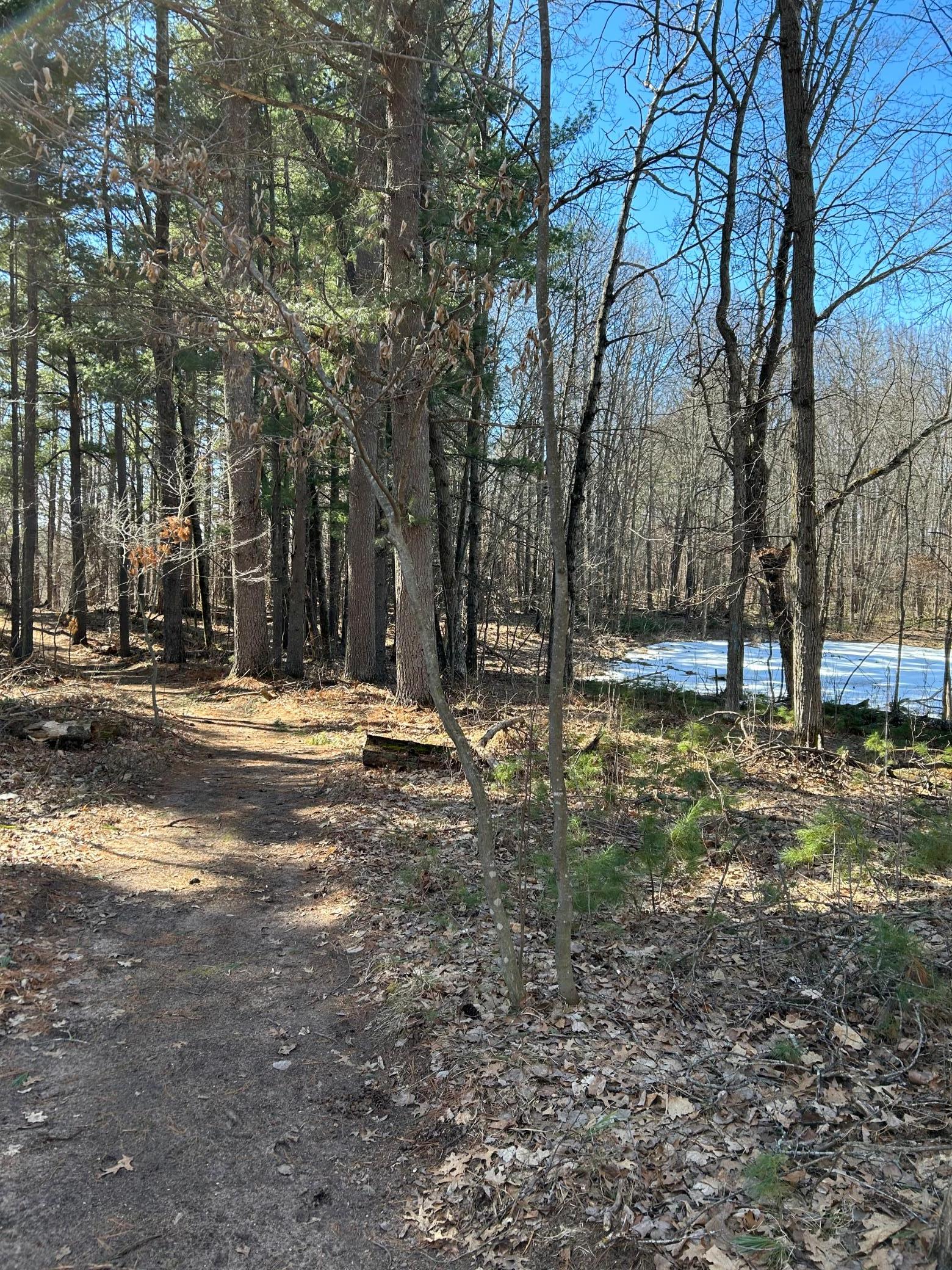 5060 County Rd B Frederic, WI 54837 - Photo 37 of 44