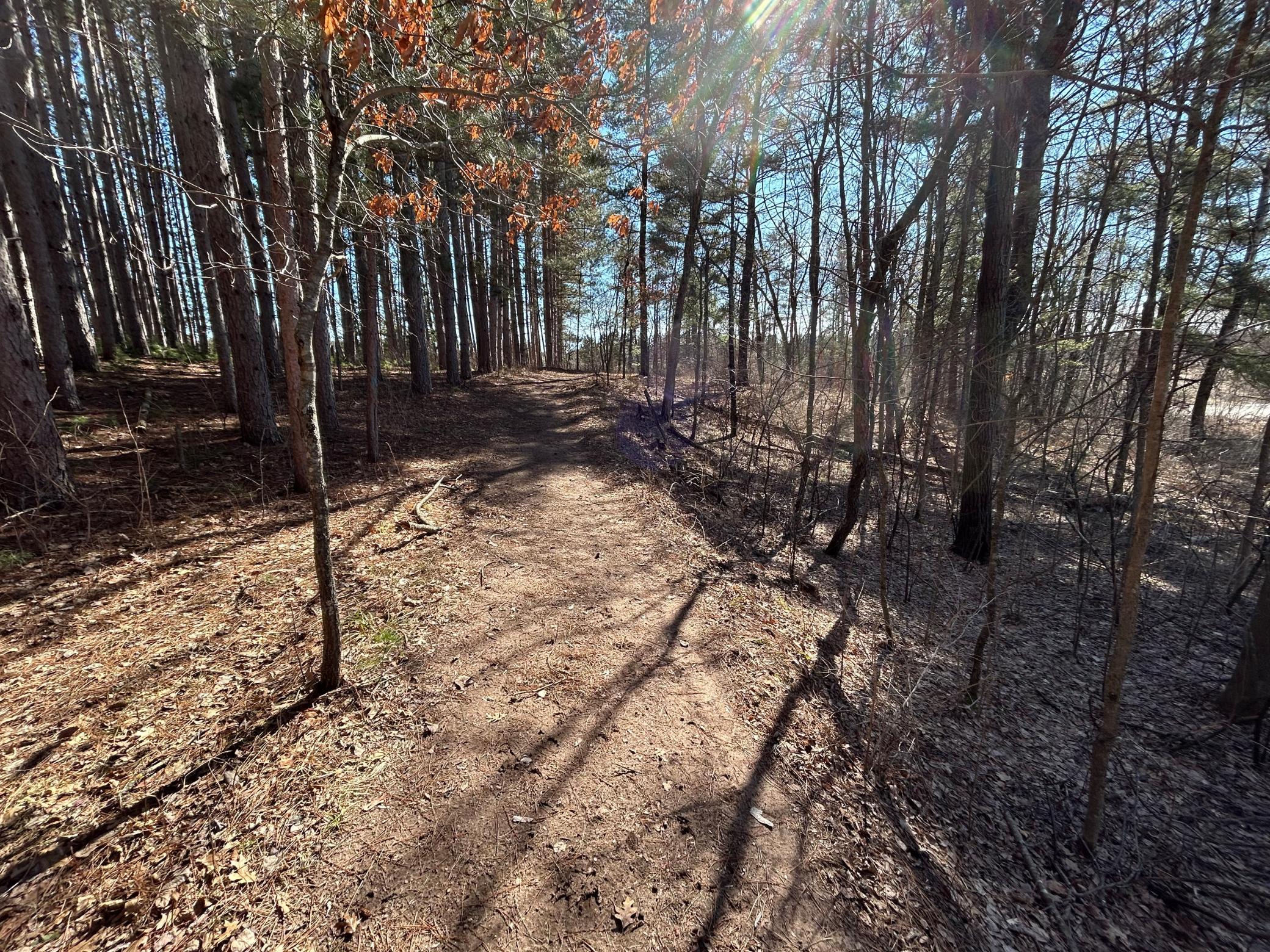 5060 County Rd B Frederic, WI 54837 - Photo 39 of 44