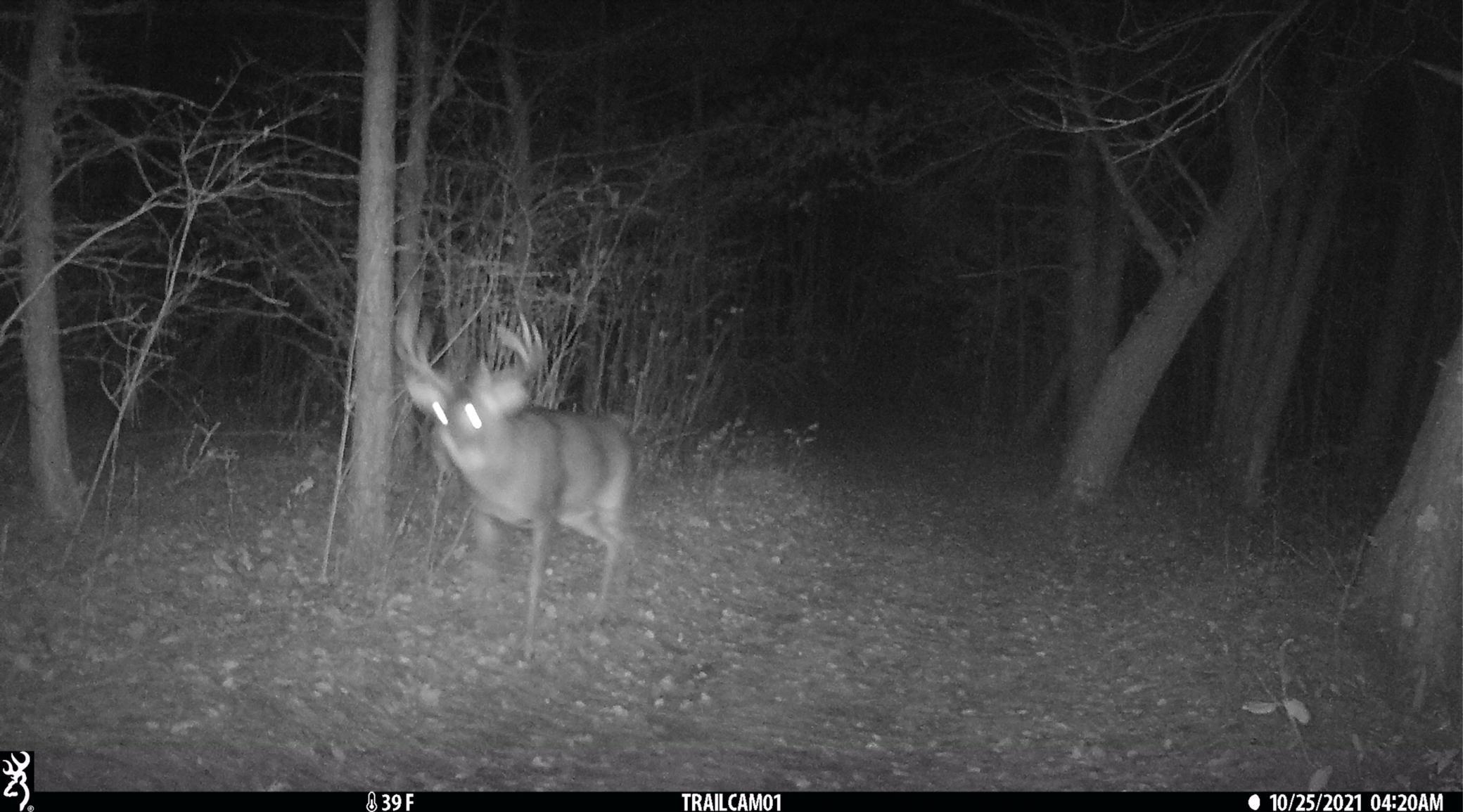 5060 County Rd B Frederic, WI 54837 - Photo 44 of 44