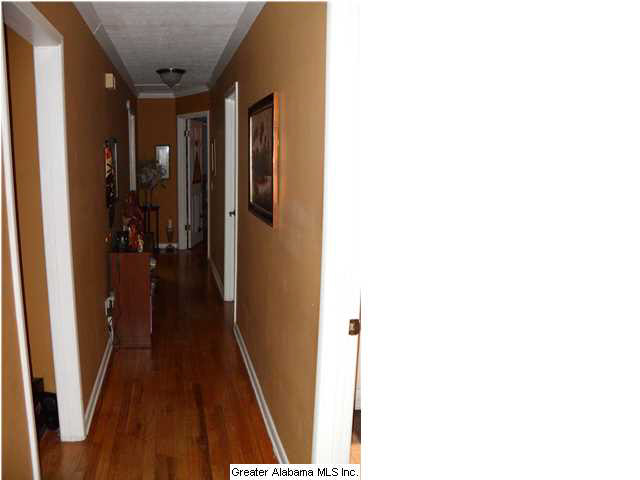 308 Alexander Road Pell City, AL 35128 - Photo 12 of 15