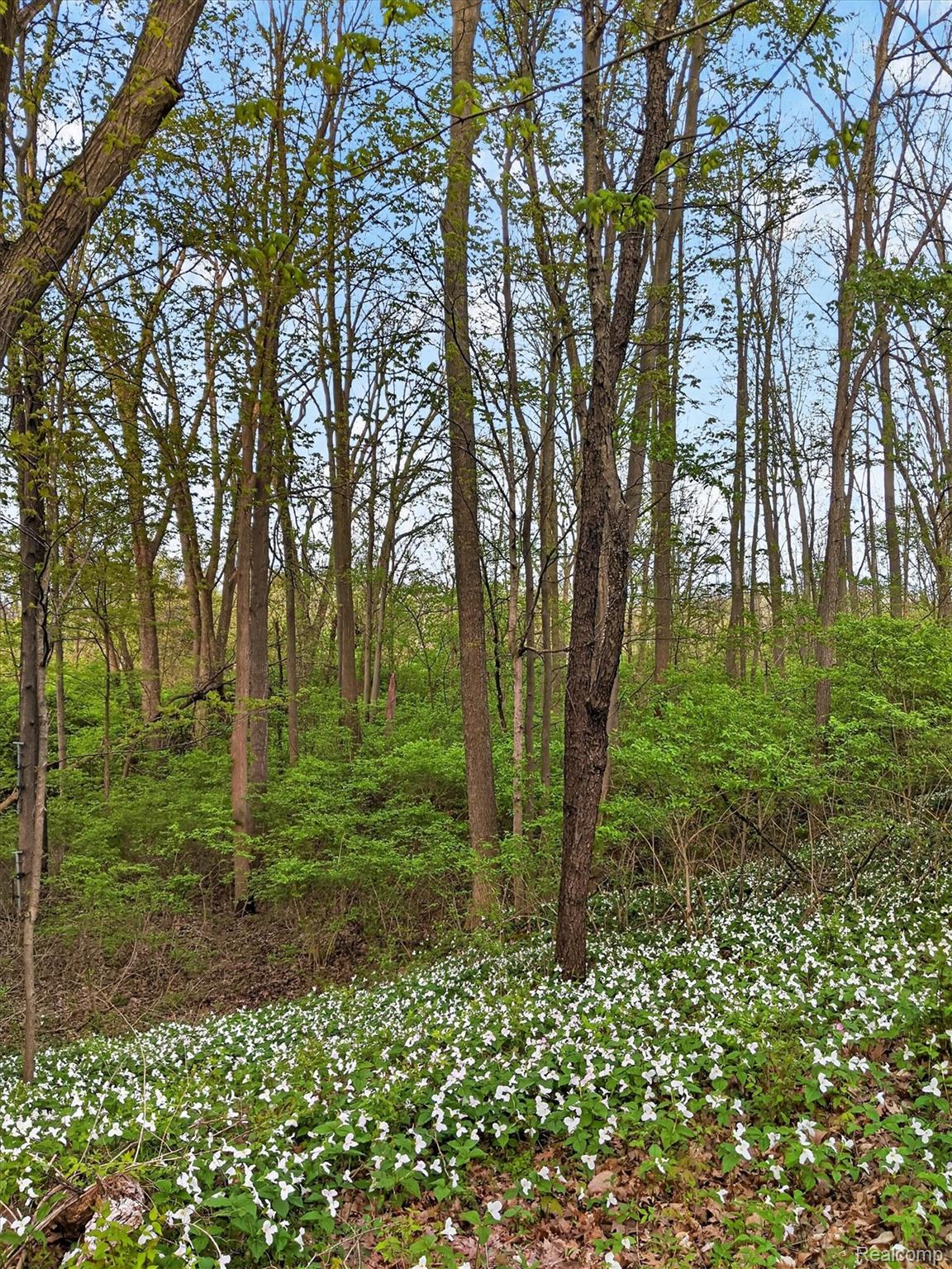 7186 East River Road Flushing, MI 48433 - Photo 44 of 47 Wooded lot featuring mature trees and a sloped terrain