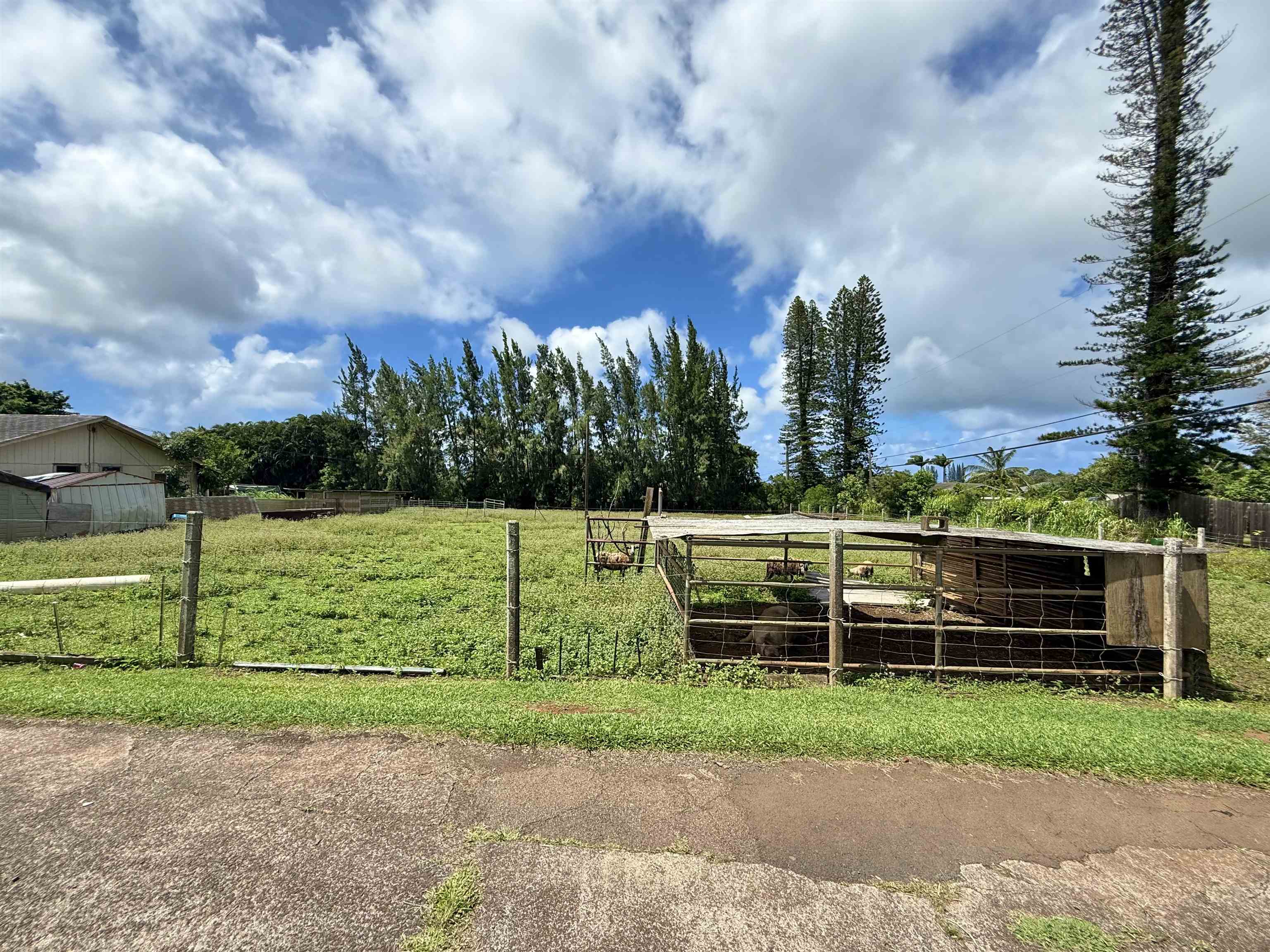1630 Kauhikoa Road Haiku, HI 96708 - Photo 3 of 48 a view of a back yard