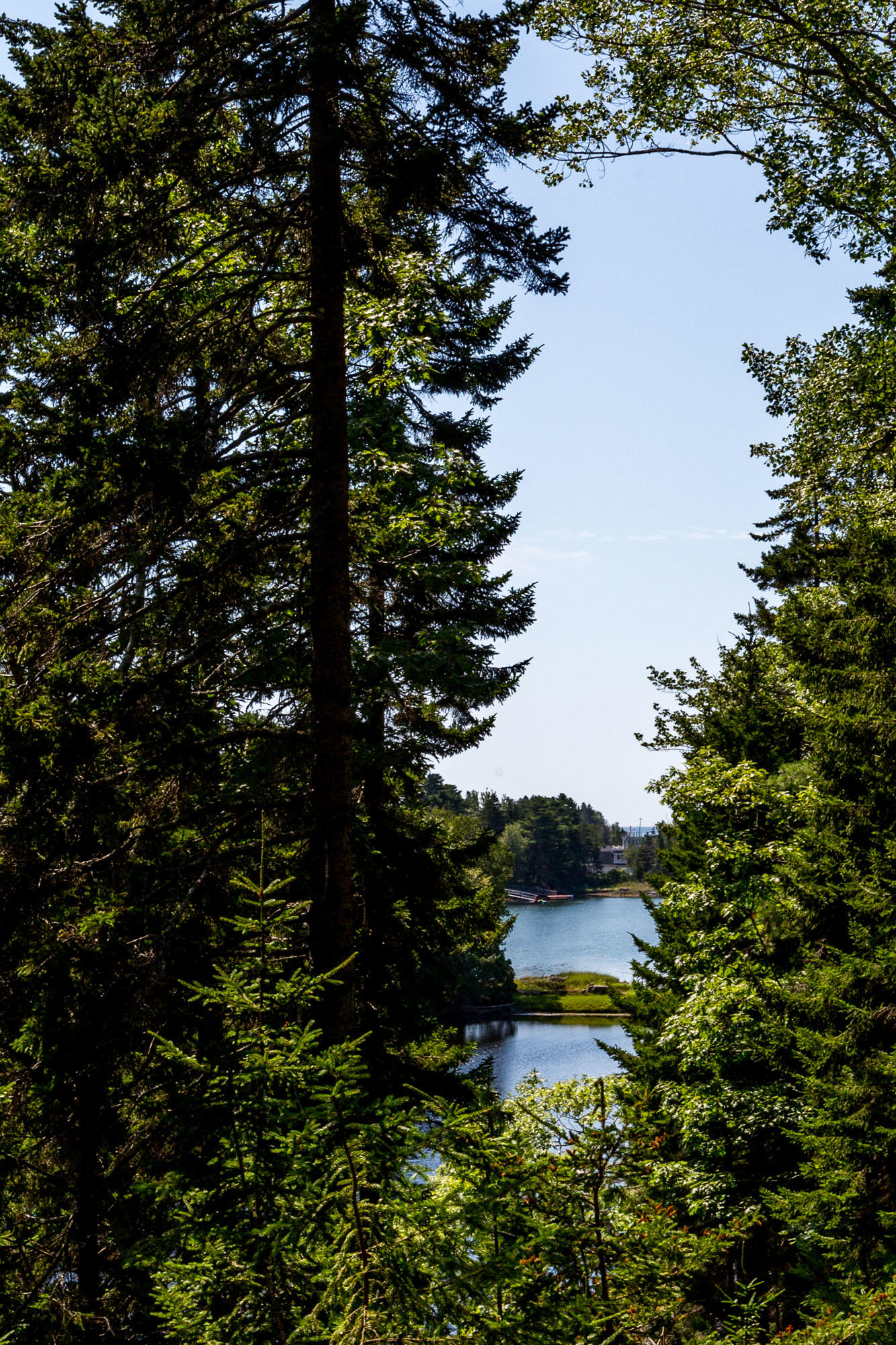 165 Gun Point Road Harpswell, ME 04079 - Photo 46 of 53 Gun Point_Saxton_62