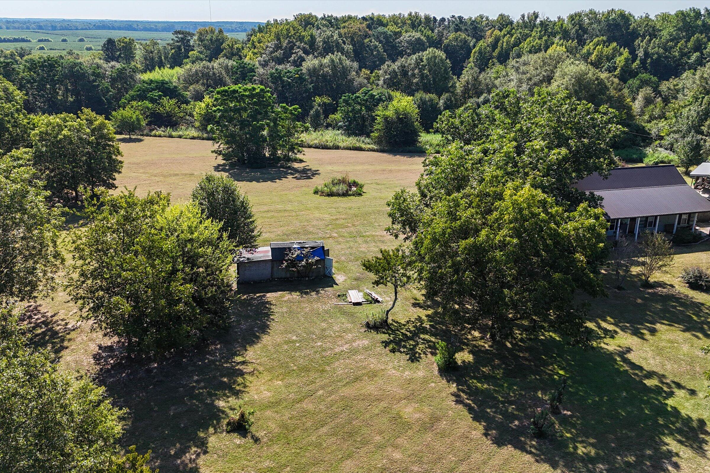 1049 Youngblood Road Trenton, SC 29847 - Photo 14 of 55 Gallery Image 14