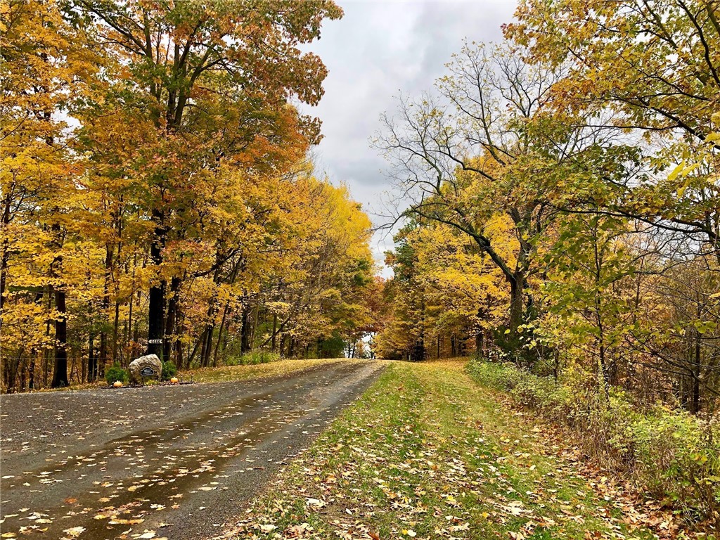 78 Hemlock Road Starkey, NY 14837 - Photo 40 of 45 Road Leading To Home