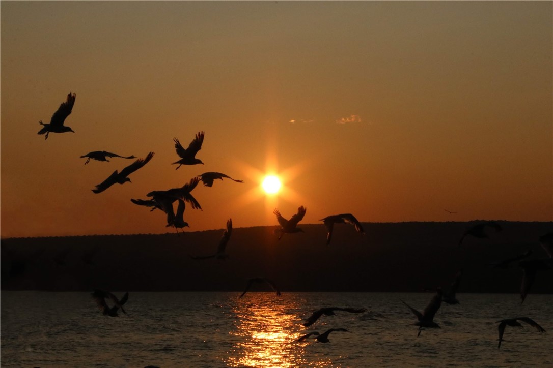 78 Hemlock Road Starkey, NY 14837 - Photo 41 of 45 Views Of Seneca Lake From Home