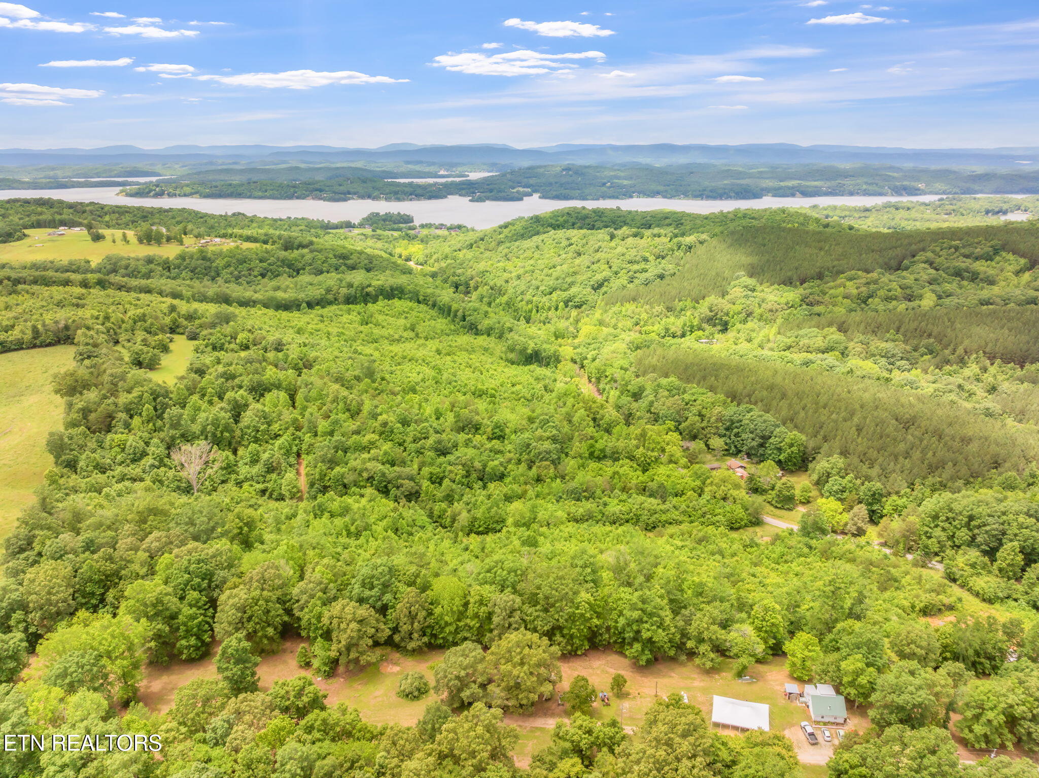 0 Grigsby Hollow Road Kingston, TN 37763 - Photo 5 of 34 5-web-or-mls-Grigsby Hollow Land-4