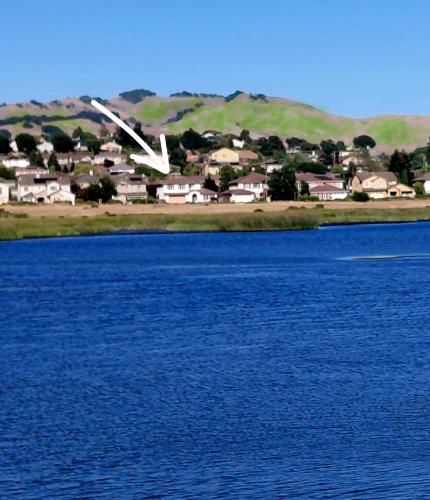 528 Wetlands Edge Road American Canyon, CA 94503 - Photo 1 of 55