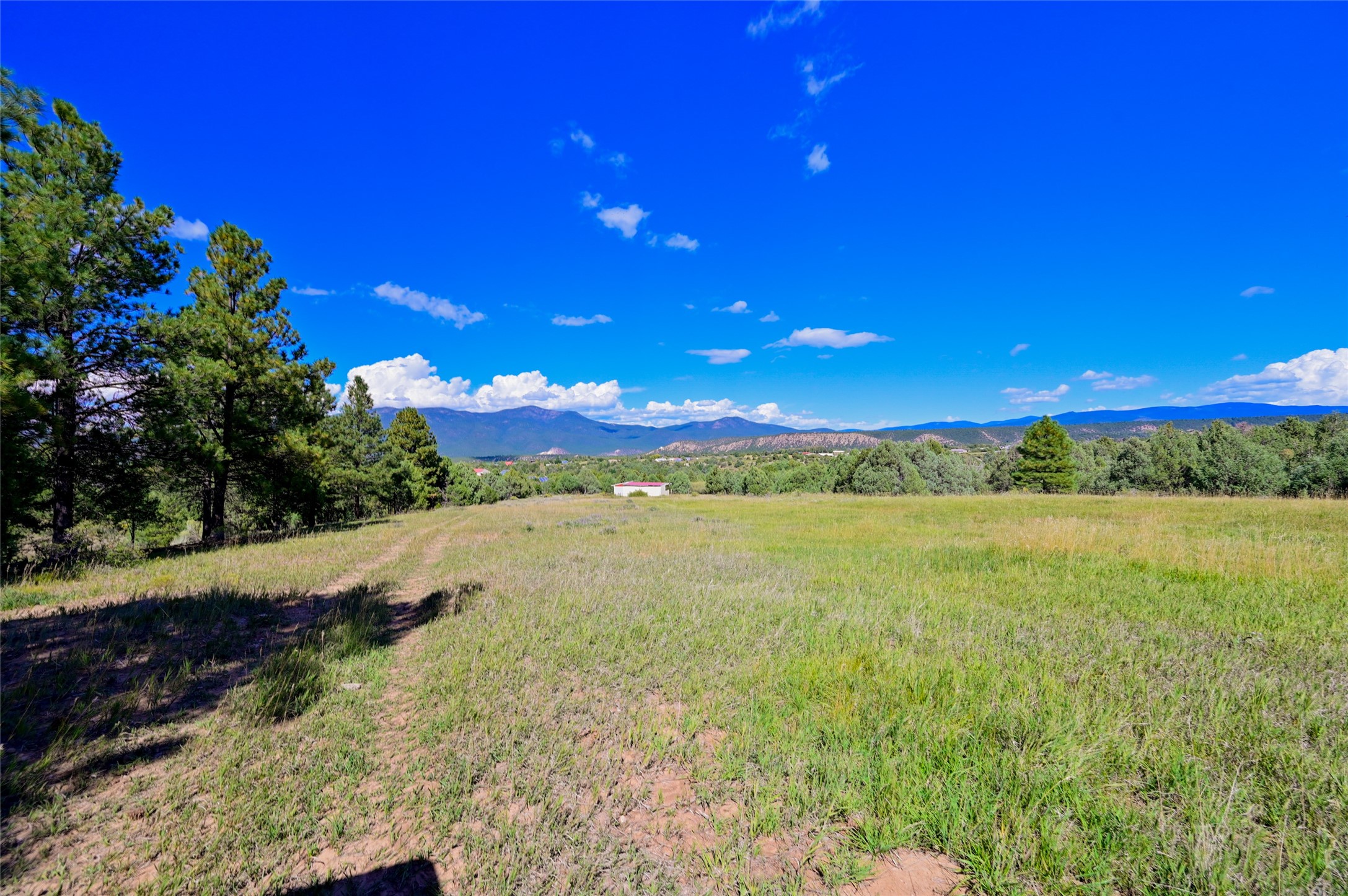 157 Pacheco Road Llano, NM 87543 - Photo 79 of 94