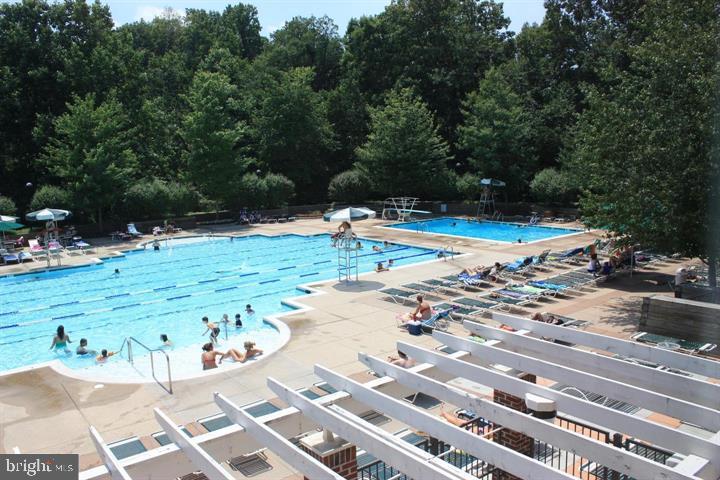 12012 Golf Ridge Court, Unit 374 Fairfax, VA 22033 - Photo 28 of 38 a view of a swimming pool with a lounge chairs