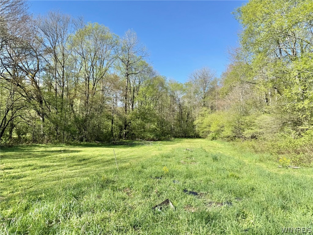 3137 Bear Creek Road Machias, NY 14737 - Photo 13 of 50
