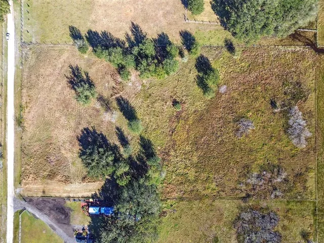 a view of a painting of a tree