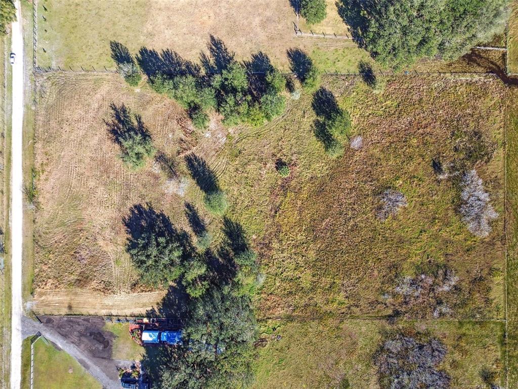 Southwest 32nd Bushnell, FL 33513 - Photo 4 of 35 a view of a painting of a tree