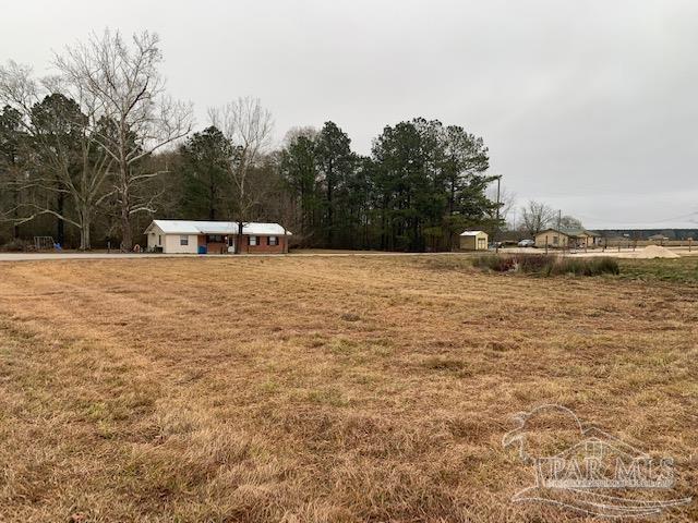 344 Aplin Road Atmore, AL 36502 - Photo 5 of 9