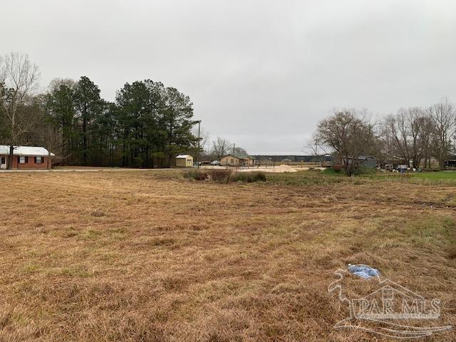 344 Aplin Road Atmore, AL 36502 - Photo 6 of 9