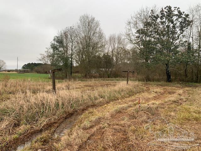 344 Aplin Road Atmore, AL 36502 - Photo 7 of 9