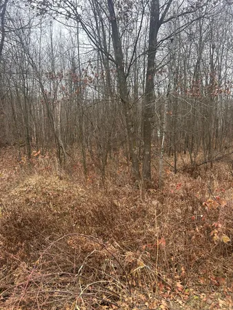 $25,900 | Tbdx Tbdx Lake, Randall, MN 56475