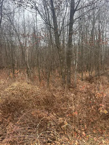 $25,900 | Tbdx Tbdx Lake, Randall, MN 56475