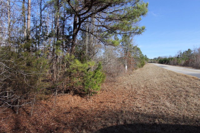 T1 Loco Church Road Lincolnton, GA 30817 - Photo 8 of 10 Gallery Image 8