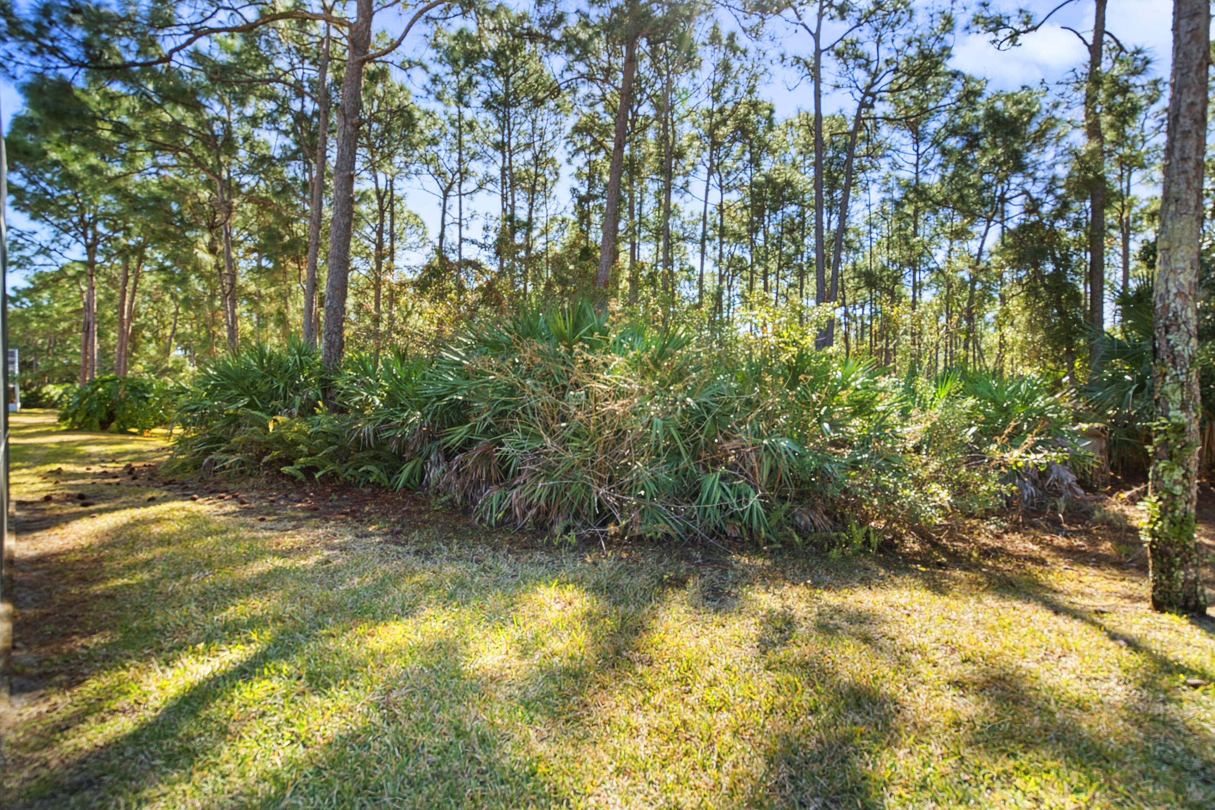 333 Springview Loop Port St. Lucie, FL 34986 - Photo 41 of 76 Back yard Preserve