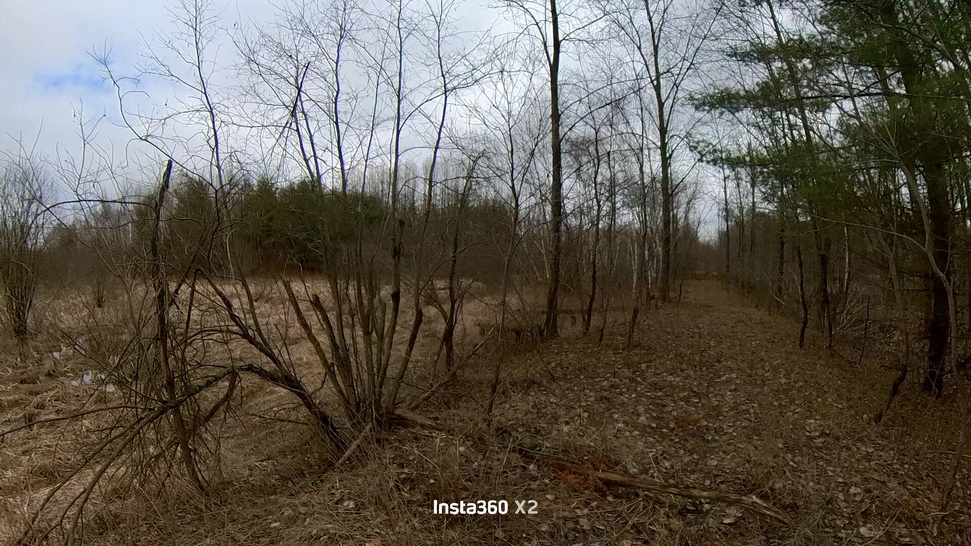 0 20 20 Mile Road Tustin, MI 49688 - Photo 29 of 53 Snapshot_202604100_210420