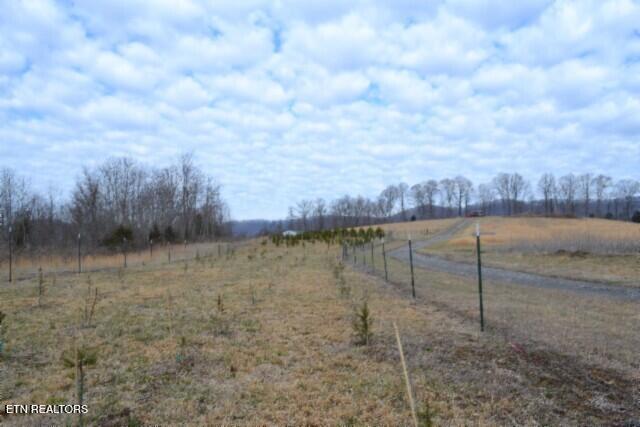 127 Rushing Springs Road Monterey, TN 38574 - Photo 10 of 57 DSC_0010