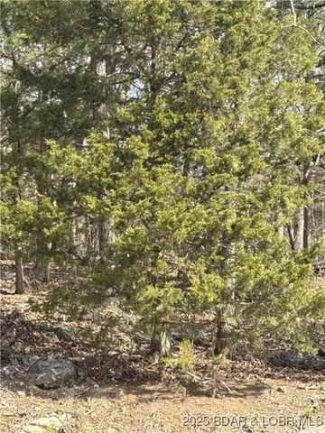 $4,000 | Four Cambridge Drive, Four Seasons, MO 65049