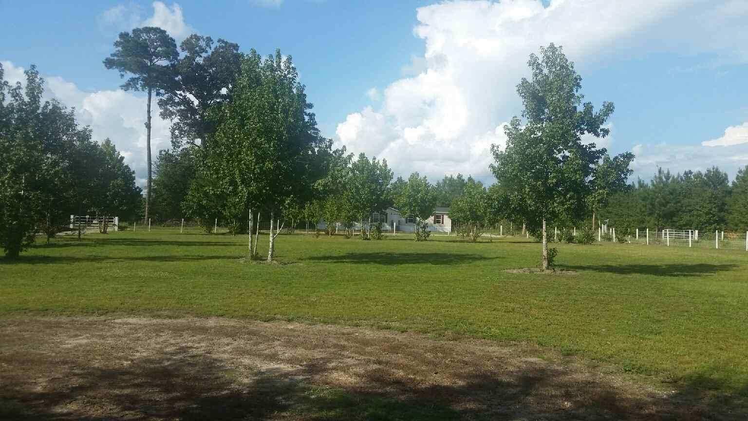 518 Harmony Hall Road Round O, SC 29474 - Photo 30 of 31 front yard Harmony Hall