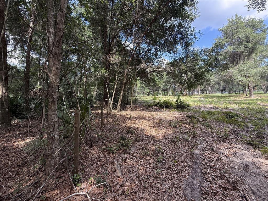 620 Cochran Road Geneva, FL 32732 - Photo 5 of 11