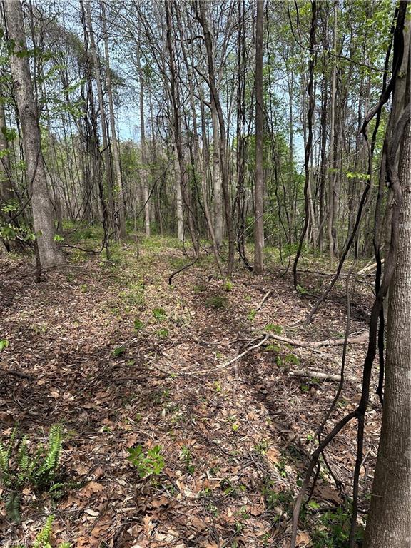 0 Will Boone Road Mocksville, NC 27028 - Photo 1 of 2
