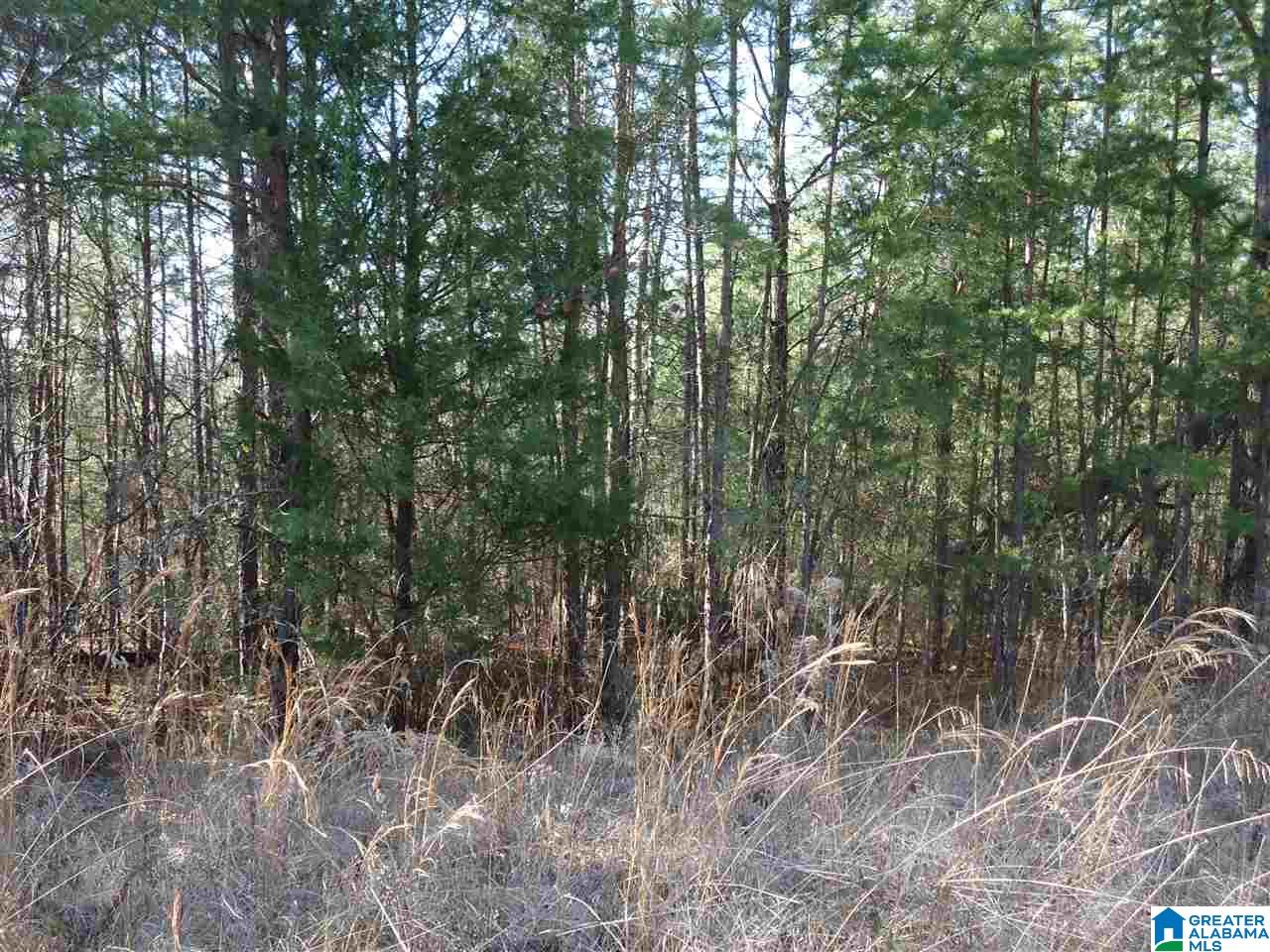 4401 Hicks Road, Unit 1 Pinson, AL 35126 - Photo 5 of 5