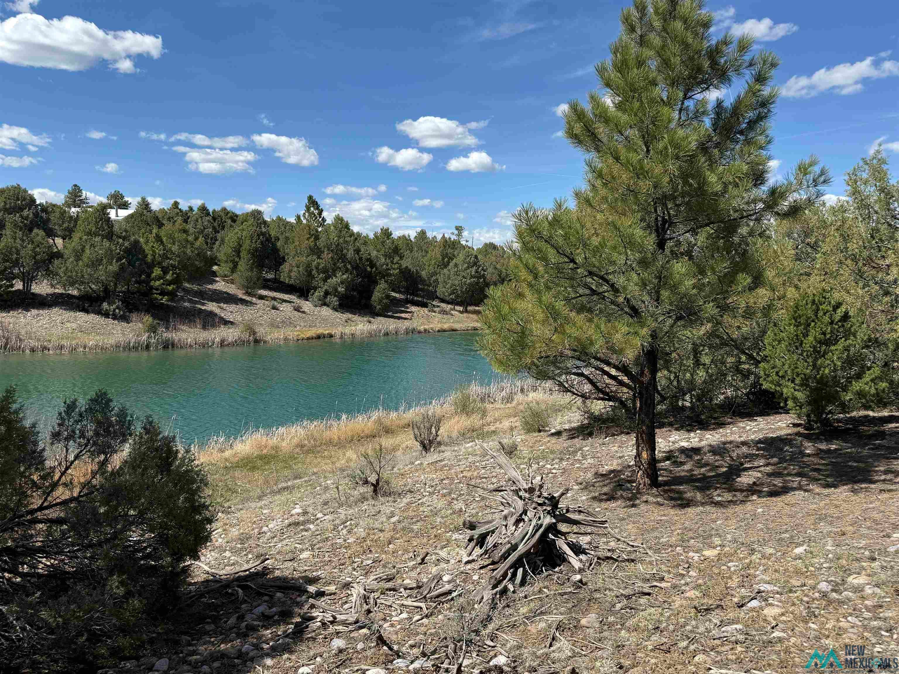 16 Overlook Road Los Ojos, NM 87551 - Photo 11 of 39 Water view
