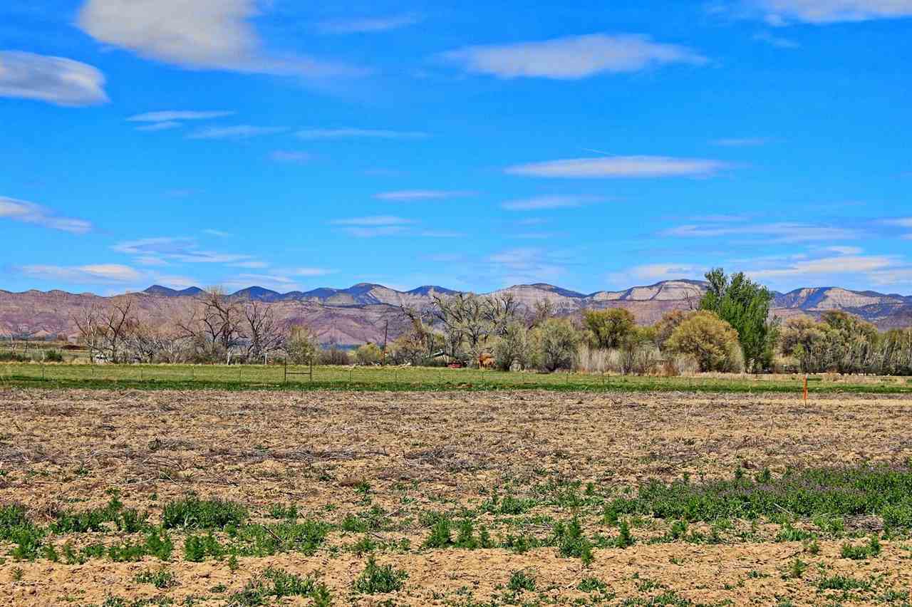 1302-17 17 1/2 Road Fruita, CO 81521 - Photo 12 of 39 a view of mountain with outdoor space