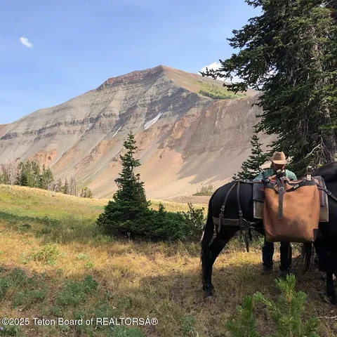 $2,999,000 | 807 Merna North Beaver Road, Daniel, WY 83115