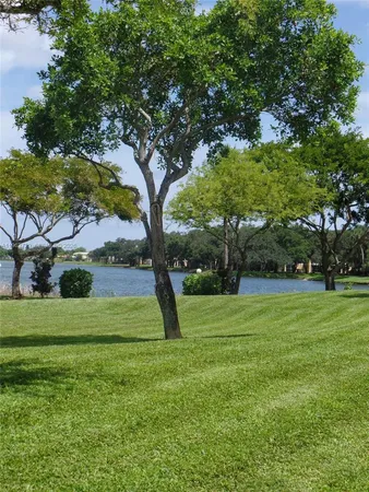a view of a field with a tree