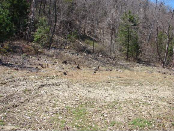 135 Saunders Road Monkton, VT 05443 - Photo 1 of 1 Gallery Image 1
