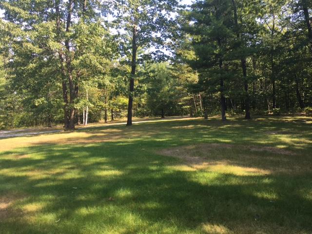 8060 Spruce Road Ossineke, MI 49766 - Photo 22 of 41 Gallery Image 22