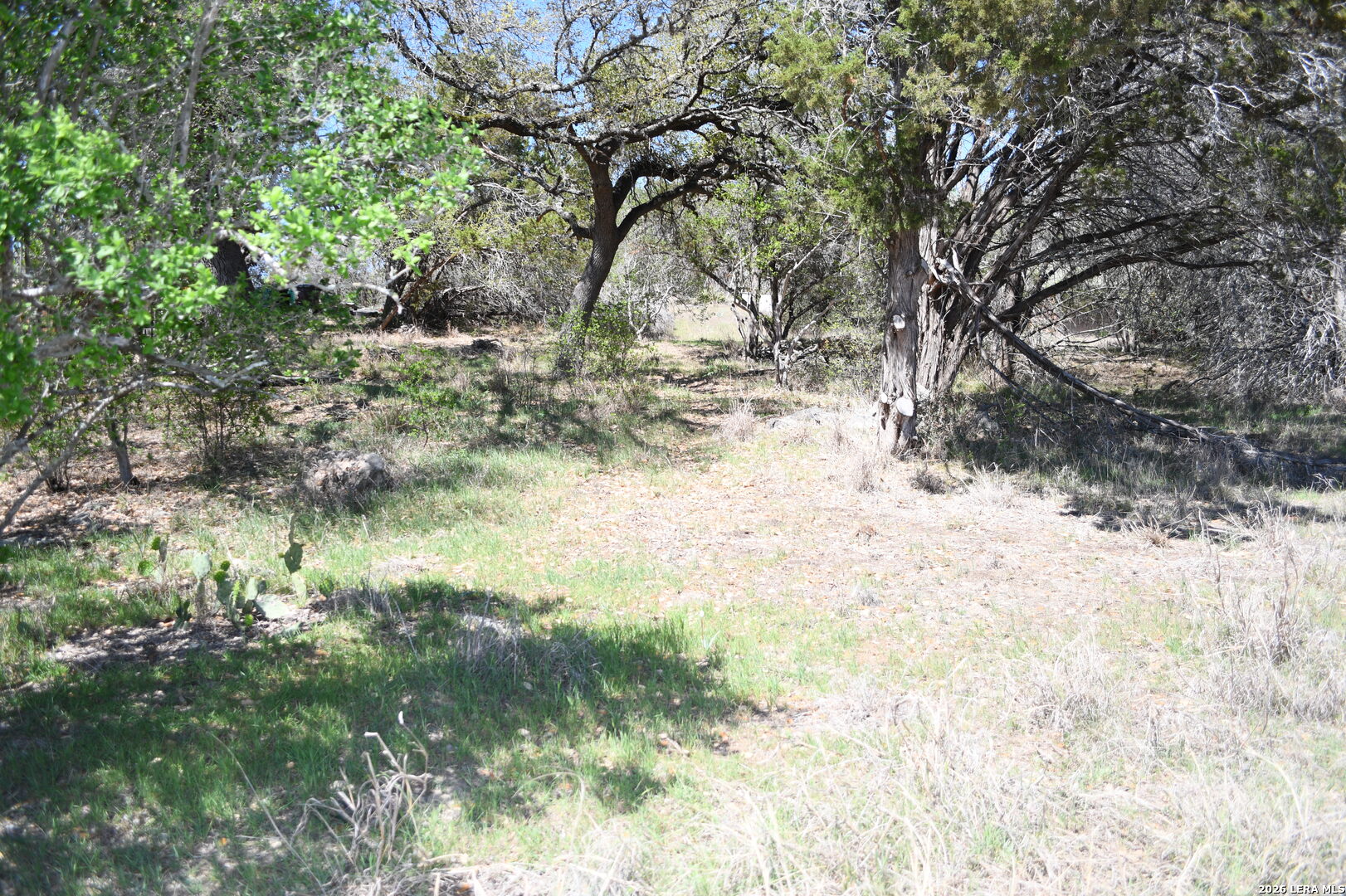 1361 Hidden Valley Drive Spring Branch, TX 78070 - Photo 3 of 28