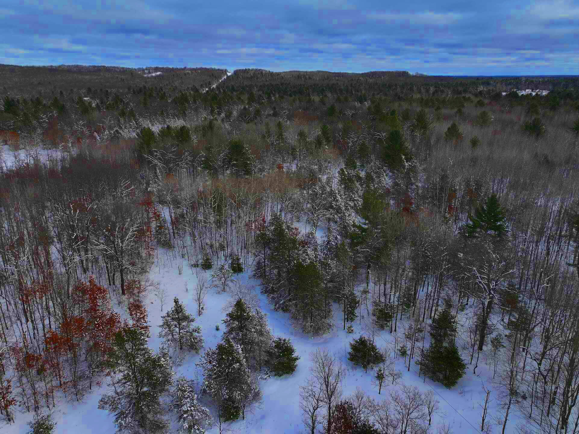 V/l Neumann Road Lewiston, MI 49756 - Photo 8 of 27 8_rz